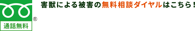 害獣による被害の無料相談ダイヤルはこちら