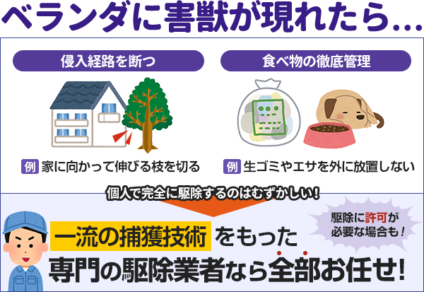 ベランダに害獣が現れたら、侵入経路を断ち、食べ物を徹底管理しましょう。駆除は、許可が必要な場合もあり、個人では難しいです。一流の捕獲技術をもた専門の駆除業者なら、ぜんぶお任せできます。