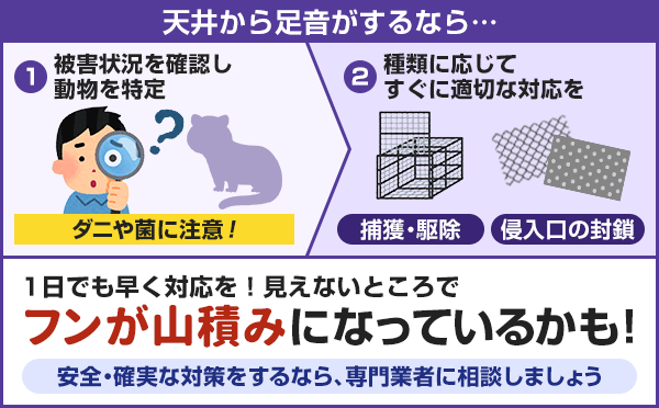 天井からお足音がするなら、まずは動物をとくていし、種類に応じた対応を行なってください。見えないところでフンが山積みになっているかもしれません。安全・確実な対策をするなら、専門業者に相談することをおすすめします。