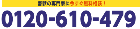 0120-610-479。害獣の専門家に今すぐ無料相談。
