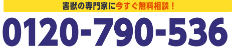 0120-790-536。害獣の専門家に今すぐ無料相談。