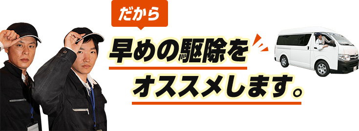 だから早めの駆除をオススメします。