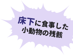 床下に食事した 小動物の残骸