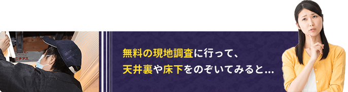 無料の現地調査に行って、天井裏や床下をのぞいてみると...