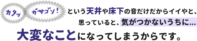 「カタッ」「ガサゴソ」という天井や床下の音だけだからイイやと、思っていると、気づかないうちに大変なことになってしまうからです。