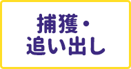 作業1捕獲・追い出し