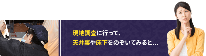 現地調査に行って、天井裏や床下をのぞいてみると...