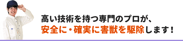 高い技術を持つ専門のプロが、 安全に・確実に害獣を駆除します！