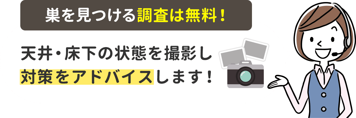 天井・床下の状態を撮影し対策をアドバイスします。