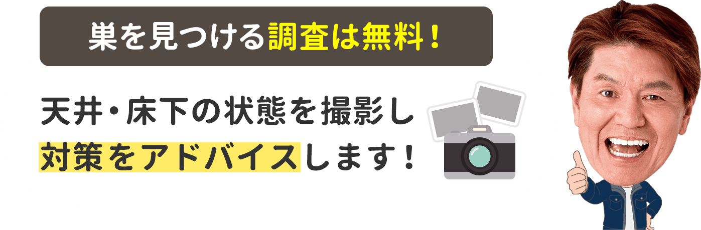 天井・床下の状態を撮影し対策をアドバイスします。