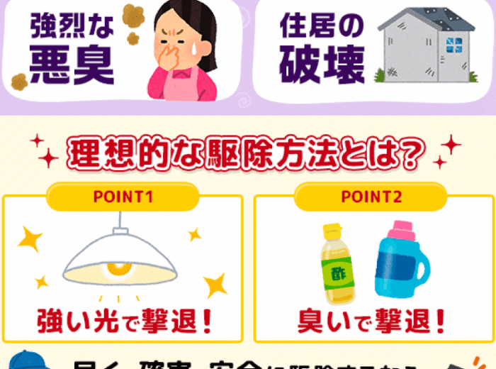 イタチを自力で駆除するには 注意点や正しい追い出し法をプロが解説